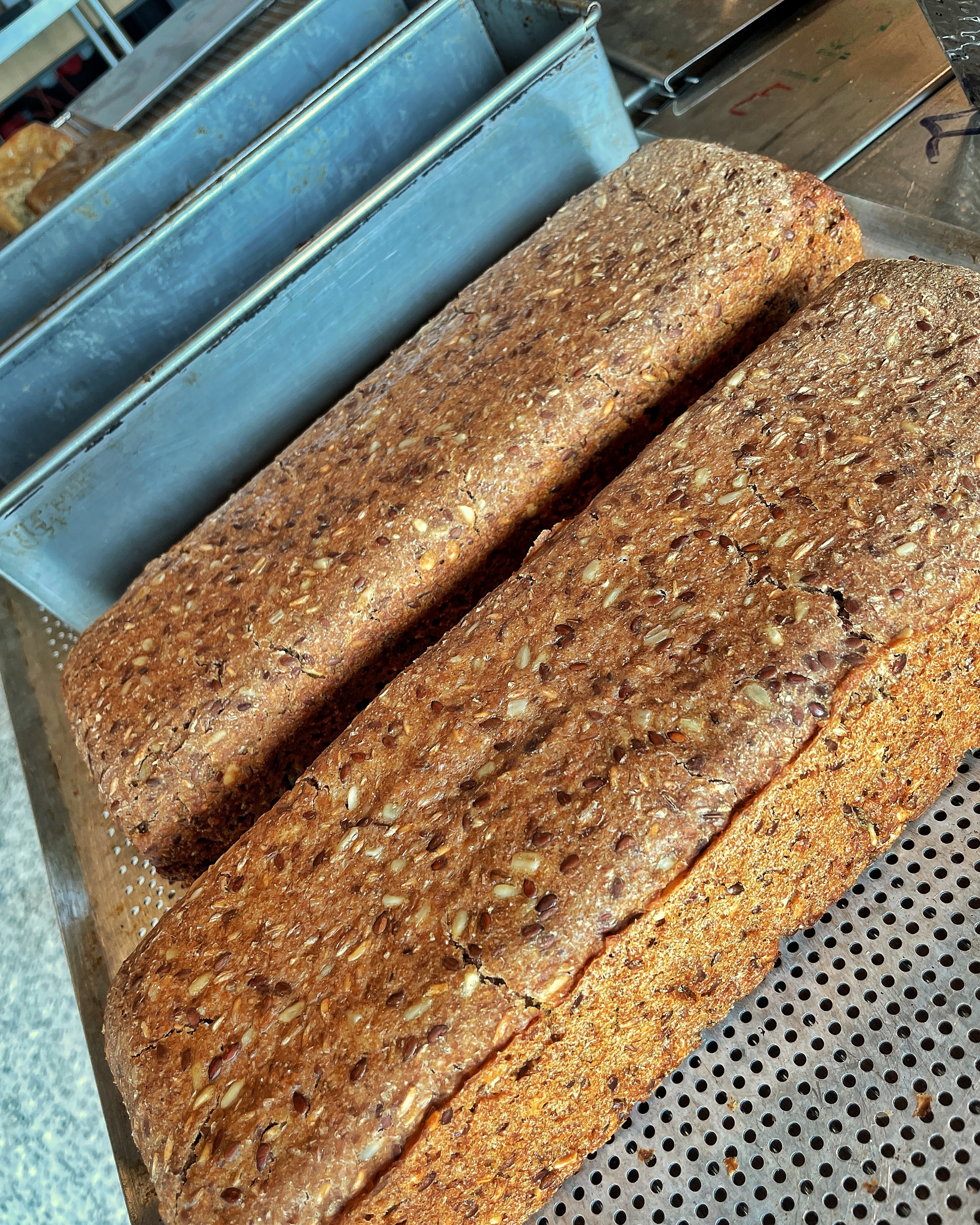 rugbrød og rugbrødsforme står på rist